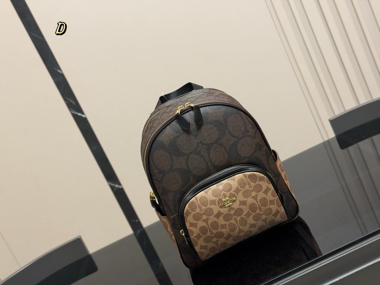 Luxury Coach Back-bag