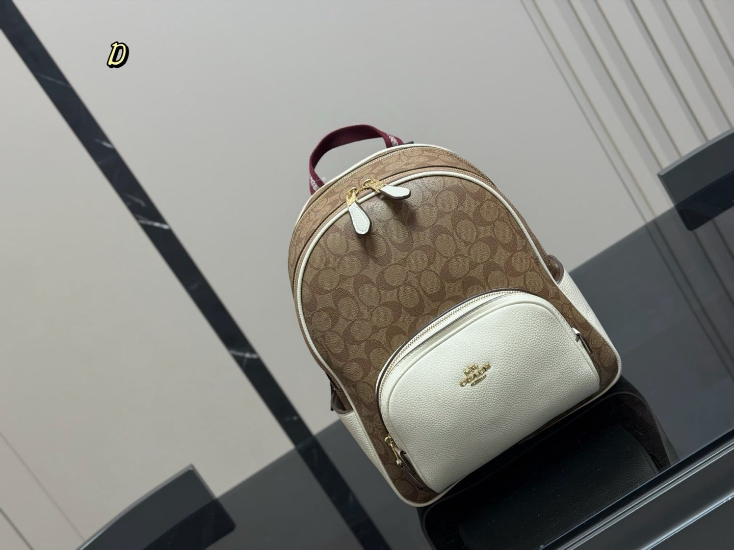 Luxury Coach Back-bag