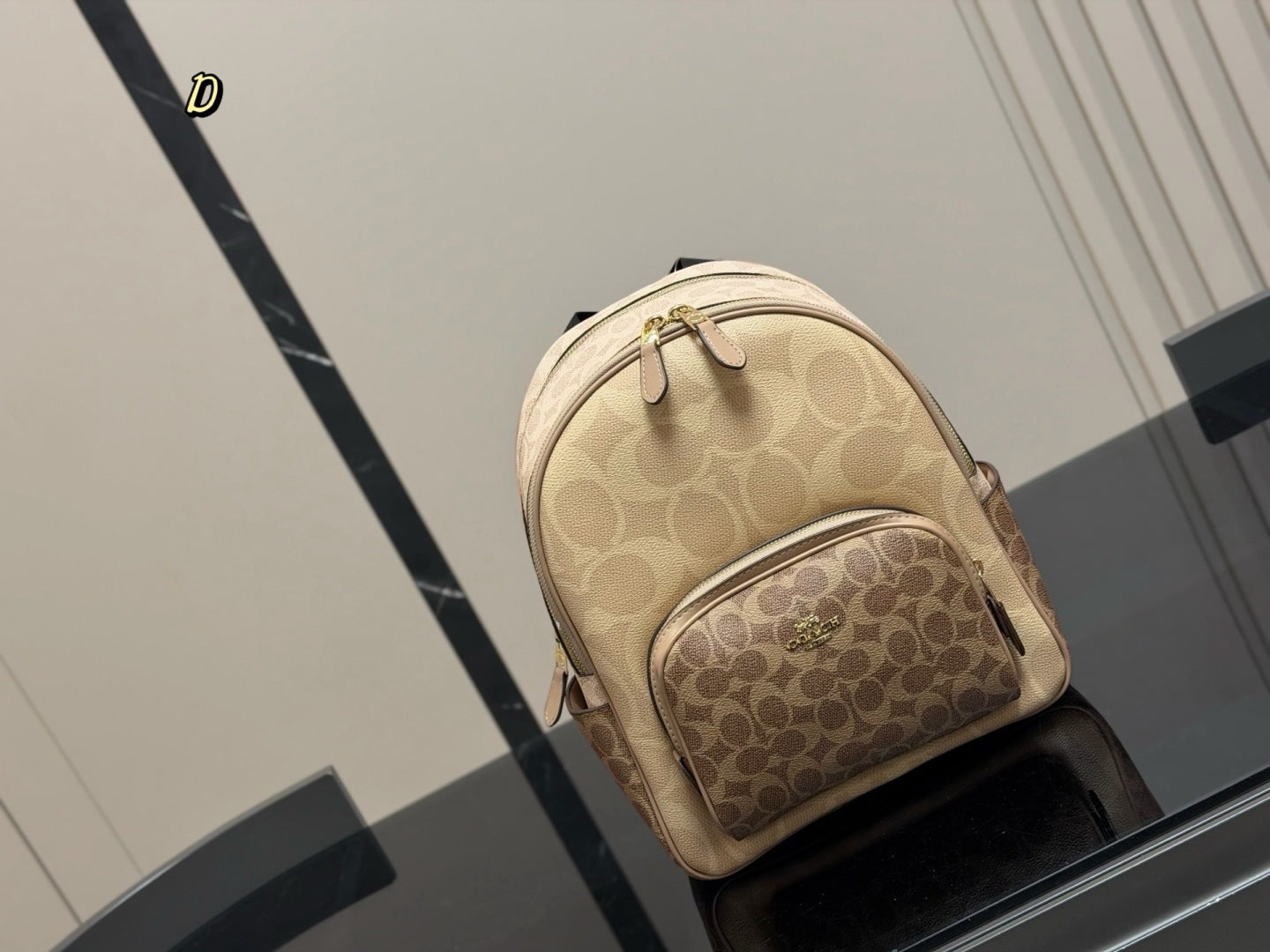 Luxury Coach Back-bag