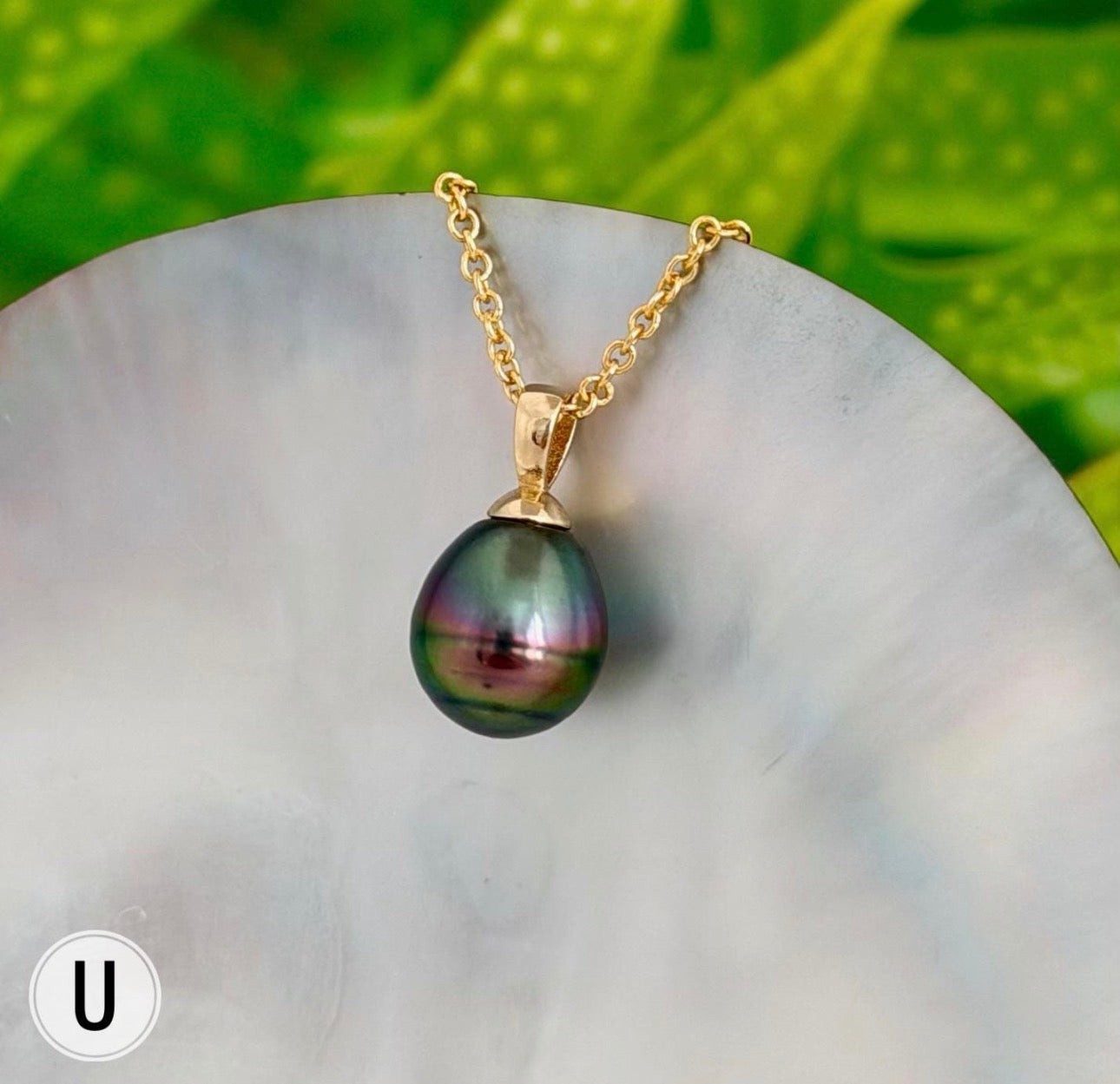DOORBUSTER Tahitian Black Pearl Pendant: In Solid Gold